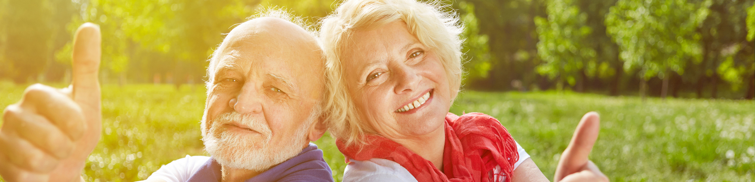 älteres Ehepaar im Grünen